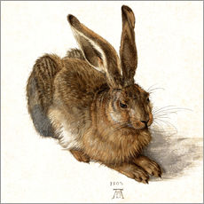 Tableau en plexi-alu  Lièvre - Albrecht Dürer