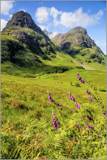 Tableau en plexi-alu  Montagnes écossaises - Walter Quirtmair
