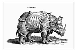 Poster  Rhinocéros - Albrecht Dürer