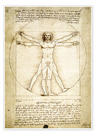 Poster  L'Homme de Vitruve - Leonardo da Vinci