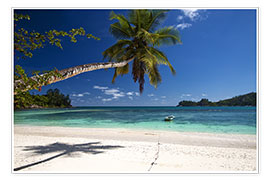 Poster Paradise Beach Seychelles