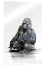 Tableau en verre acrylique  Gorille assis - Werner Dreblow