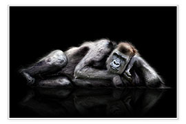 Poster  Gorille qui s'ennuie - Werner Dreblow