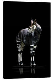 Tableau sur toile  Okapi - Werner Dreblow