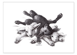 Poster Trois petits moutons - boule de laine