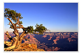 Poster  Grand Canyon en Arizona - Paul Thompson
