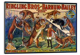 Tableau en verre acrylique  Affiche de cirque de 1920 (anglais)