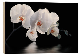 Tableau en bois  Orchidée blanche - Atteloi