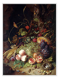 Poster Nature morte aux fruits et aux insectes