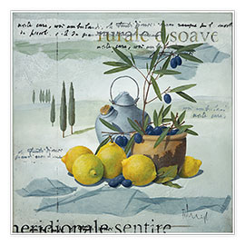 Poster Olives du Sud