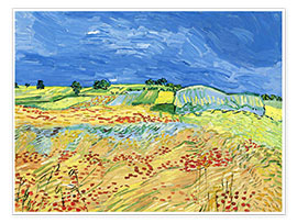 Poster  Paysage avec champs et coquelicots - Vincent van Gogh