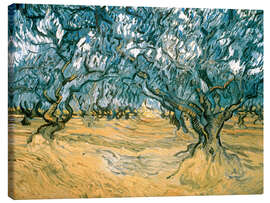 Tableau sur toile  Oliviers - Vincent van Gogh