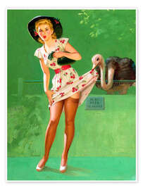 Poster  L'autruche coquine - Art Frahm