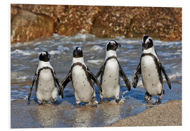 Tableau en PVC  four cool waddling penguins - Jürgen Ritterbach