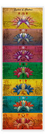 Poster Système des Chakras (anglais)