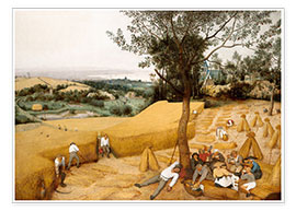 Poster  Le cycle des saisons : La Moisson - Pieter Brueghel d.Ä.