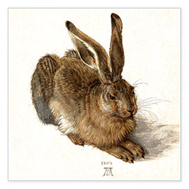 Poster  Lièvre - Albrecht Dürer