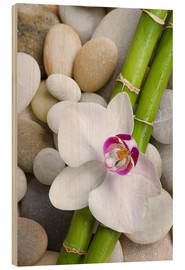 Tableau en bois  Bambous et orchidée - Andrea Haase Foto