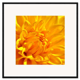 Impression artistique encadrée  Fleur jaune - Atteloi