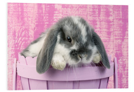 Tableau en PVC  Petit lapin dans un pot de fleurs - Greg Cuddiford