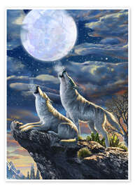 Poster  Loups hurlant à la pleine lune - Adrian Chesterman