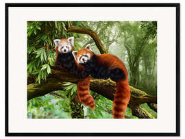 Impression artistique encadrée  Pandas roux - Katarina Sokolova