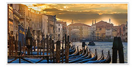 Poster Rangée de gondoles à Venise