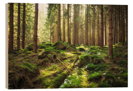 Tableau en bois  Réveil du printemps en forêt - Oliver Henze