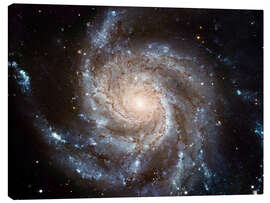 Tableau sur toile  Galaxie spirale M101 - NASA