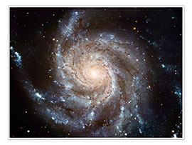 Poster  Galaxie spirale M101 - NASA