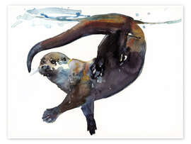 Poster  Loutre de mer dans l'eau - Mark Adlington