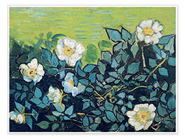 Poster  Roses sauvages - Vincent van Gogh