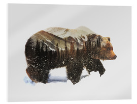 Tableau en verre acrylique  Grizzli dans la neige - Andreas Lie
