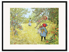 Impression artistique encadrée  La récolte des pommes - Carl Larsson