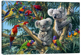Tableau sur toile  Koala de l'Outback - Steve Read