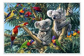 Poster Koala de l'Outback
