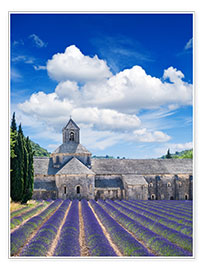 Poster  Abbaye de Sénanque et champ de lavande en Provence