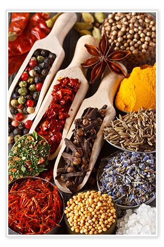 Poster Épices colorées et plantes aromatiques