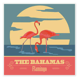 Poster  The Bahamas - Flamants roses