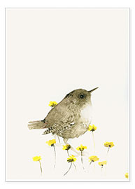 Poster  Troglodyte et fleurs jaunes - Dearpumpernickel