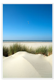 Poster Untouched dune landscape