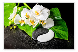Poster Orchidée blanche et yin yang