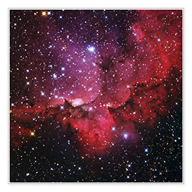 Poster NGC 7380 star cluster, optical image