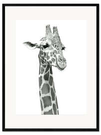 Impression artistique encadrée  Étude d'une girafe souriante - Ashley Verkamp