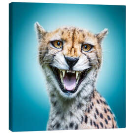 Tableau sur toile  Funny Wild Faces Cheetah - Manuela Kulpa