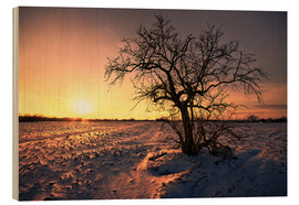 Tableau en bois  Sunset in winter - Dennis Fischer