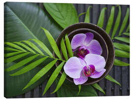Tableau sur toile  Tropical Zen Orchid - Andrea Haase Foto