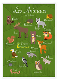 Poster  Les animaux de la forêt - Kidz Collection