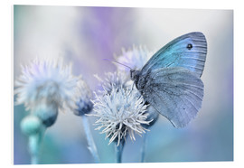 Tableau en PVC  Papillon bleu - Atteloi