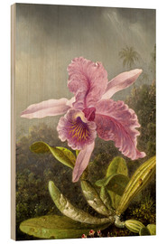 Tableau en bois  Colibri et orchidée (détail) - Martin Johnson Heade